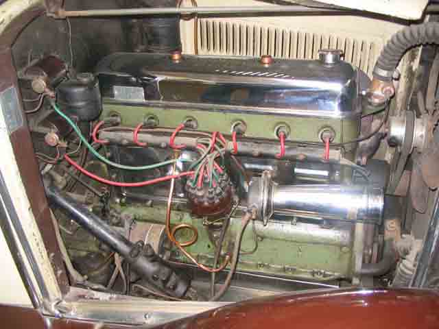 29_scafioe-4-1.jpg - 30362 Bytes