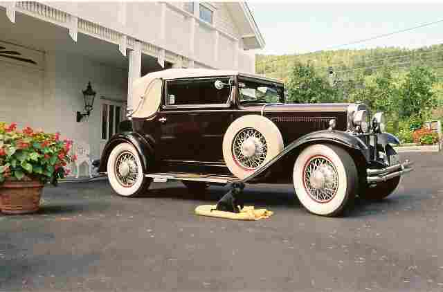 31_871-8566a.jpg - 17810 Bytes