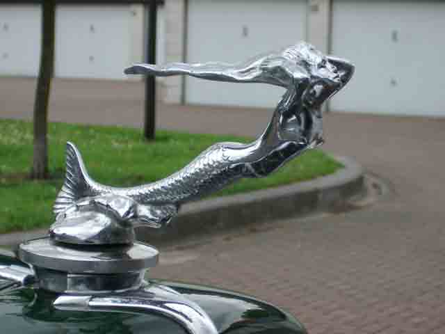 31_881-9012b.jpg - 21543 Bytes